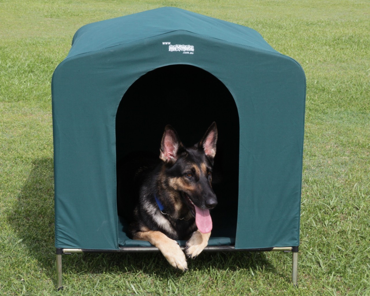 American Kennel Dog Toys On Sale American Kennel Dog Toys On Sale