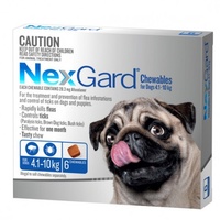 NexGard for dogs 4.1-10 kgs - Blue - 6 Pack