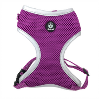 Huskimo EasyFit Dog Harness - Aurora (Purple)