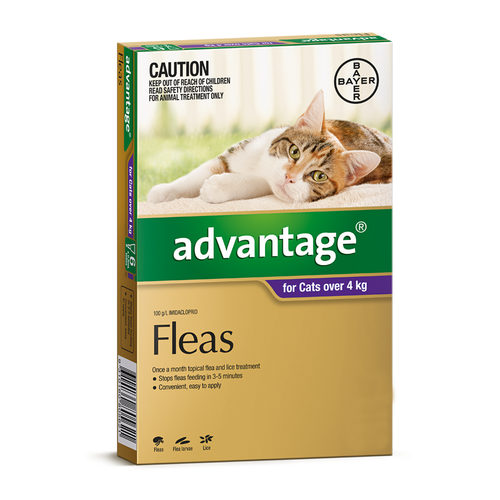 Advantage for Cats over 4 kgs - 4 Pack - Purple