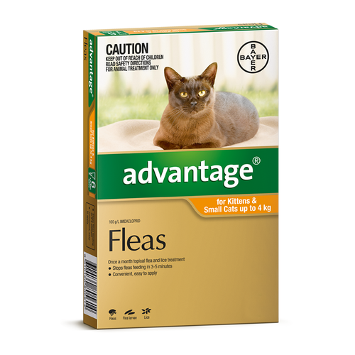 Advantage for Cats up to 4 kgs - 6 Pack - Orange