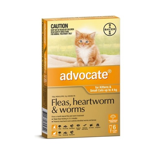 Advocate for Cats up to 4 kgs - 12 Pack - Orange