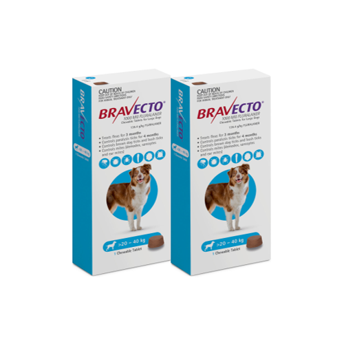 Bravecto for Large Dogs 20-40 kg - Blue - 2 Tablets (6 months)