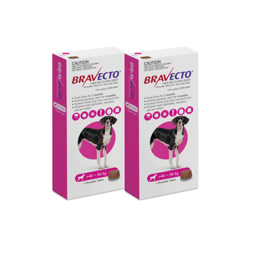 Bravecto for X-Large Dogs 40-56 kg - Purple - 2 TABLETS (6 months)