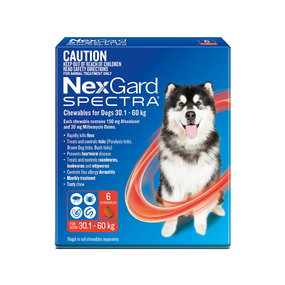 nexgard spectra for dogs best price nexgard spectra for dogs best price
