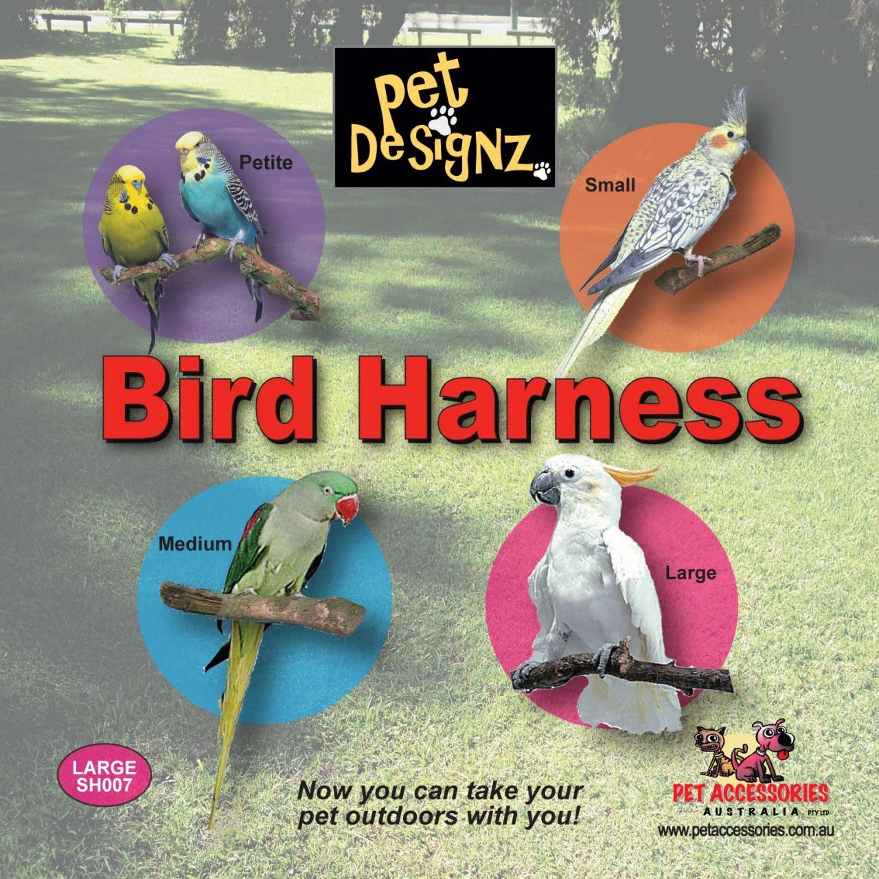 Bird Harness Petite (Budgie Size) Bird Designz