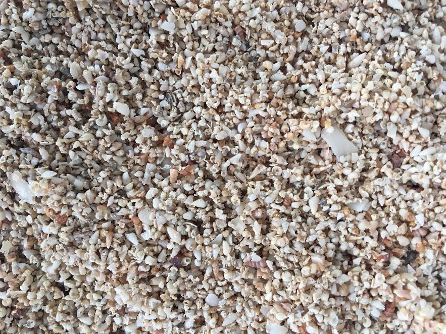 Shell grit for Birds 200g