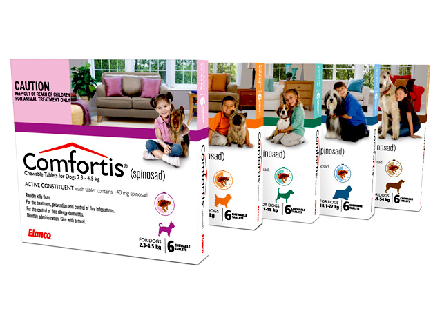 Comfortis for dogs