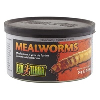 Exo Terra Mealworms Reptile Food - 34g