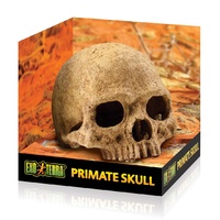 Exo Terra Primate Skull - Large
