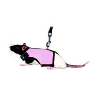 Trixie Harness with Lead for Rats