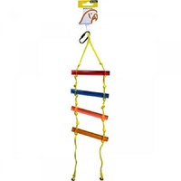 Avi One Parrot Toy Acrylic Ladder