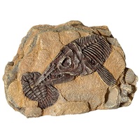 Reptile One Ichthyosaur Fossil Rock Ornament - 19.2x11.2x12cm