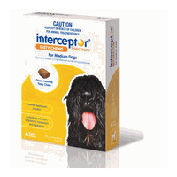 Interceptor Spectrum for Medium Dogs 11-22 kgs - 6 Pack - Yellow