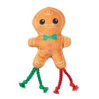 FuzzYard Gingerbread Cat Toy (15x7.5x3cm)