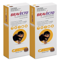 Bravecto for X-Small Dogs 2-4.5 kg - Yellow - 2 TABLETS (6 months)