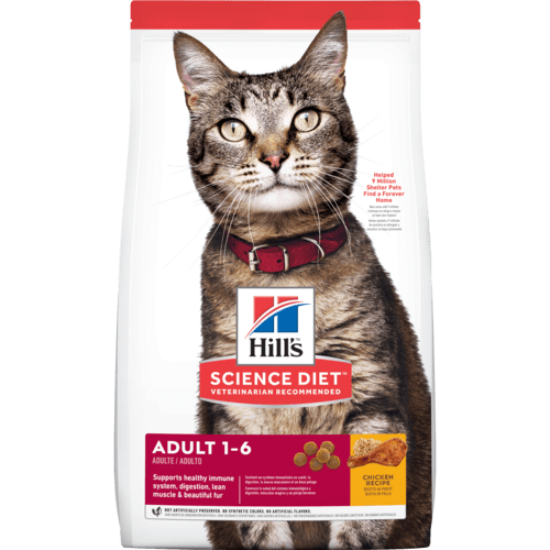 Hill's Science Diet Adult Cat Original - 6kg