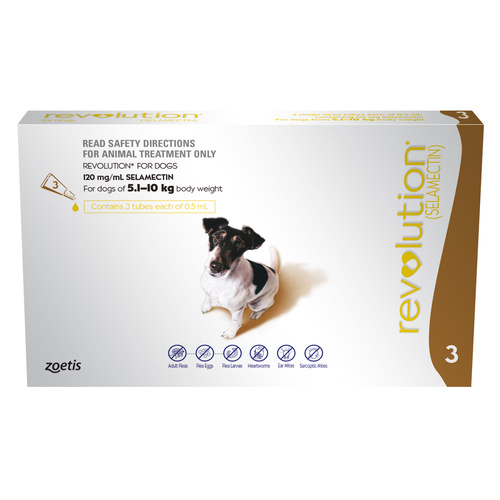 Revolution for Dogs 5.1-10 kgs - 3 Pack - Brown