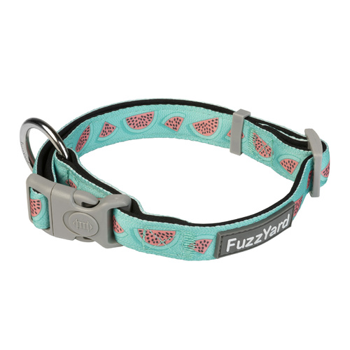 FuzzYard Dog Collar - Summer Punch - Medium (20mm x 32-50cm)