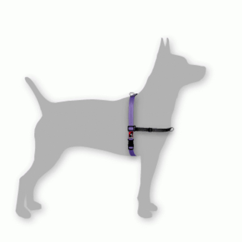 Black Dog Balance Harness for Walking & Training 5 Colours 5 Sizes
